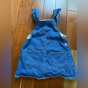 Zara skirt Overalls